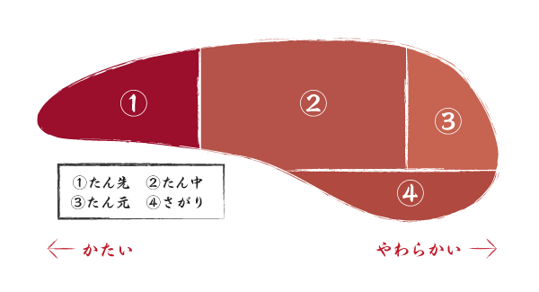 牛タンの部位の説明